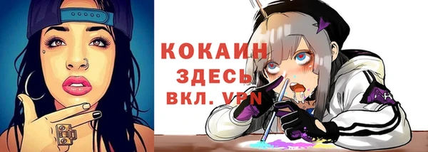 крисы Армянск