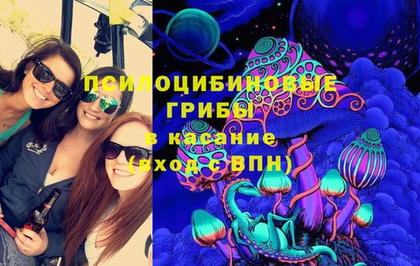 крисы Армянск