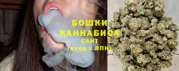 крисы Армянск