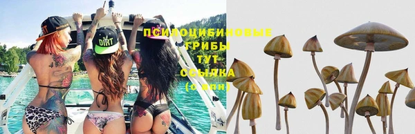 крисы Армянск
